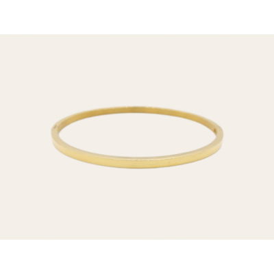 Pulsera de titanio dorado...