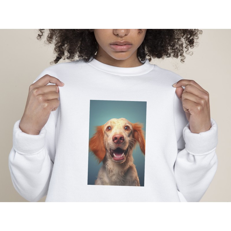 Sudadera con fotos personalizada