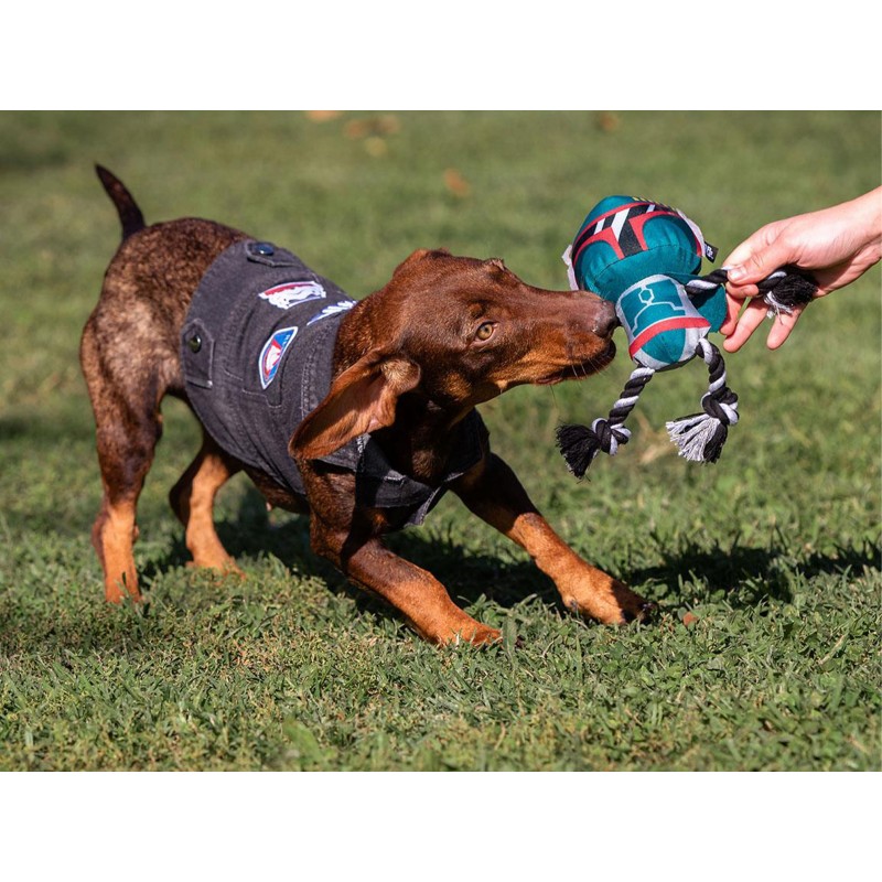 Chaqueta vaquera Star Wars para perros